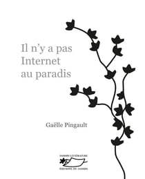 Il n'y a pas internet au paradis