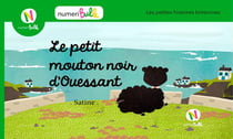 LE PETIT MOUTON NOIR D'OUESSANT