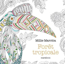 Le petit livre de coloriage - forêt tropicale