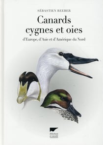 Canards, cygnes et oies d'Europe, d'Asie et d'Amérique du Nord