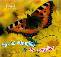De la chenille au papillon