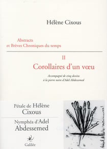 Abstracts et brèves chroniques du temps t.2 - corollaires d'un voeu