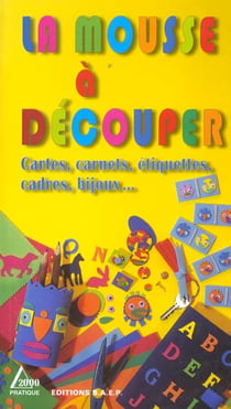 La mousse a decouper : cartes, carnets, etiquettes, cadres, bijoux...