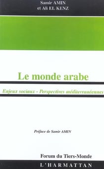 Le monde arabe : enjeux sociaux, perspectives mediterraneennes