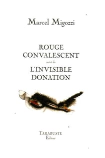 Rouge convalescent - l'invisible donation