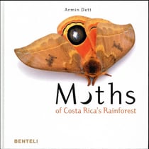 Moths of Costa Rica's rainforest