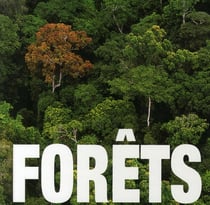 Forêts