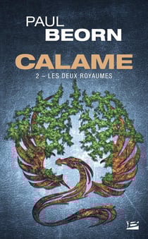 Calame Tome 2 : les deux royaumes