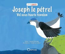 Joseph le pétrel - vol sous haute tension