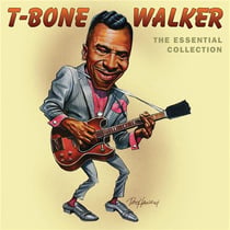 The essential collection