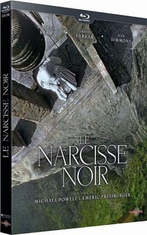 Le Narcisse noir