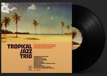 Tropical jazz trio