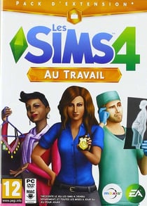 Les Sims 4 - au travail (extension)
