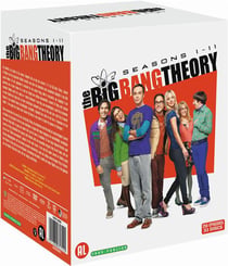 The Big Bang Theory - Saisons 1 à 11