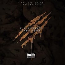 Cabin fever 3