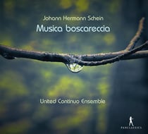 Musica boscareccia
