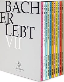 Bach erlebt vii