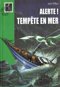 Alerte ! - tempete en mer