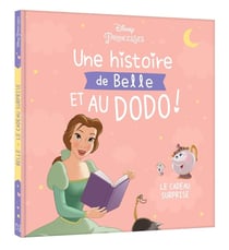 Une histoire de Belle et au dodo ! le cadeau surprise