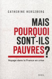 Mais pourquoi sont-ils pauvres ? - voyage dans la France en crise