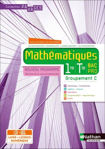 Pavages : mathématiques : 1re/terminale bac pro : groupement c : livre + licence élève (édition 2020)