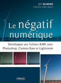 Le négatif numérique - développer ses fichiers RAW avec Photoshop, Camera RAW et Lightroom