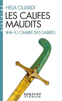 Les califes maudits Tome 2 : à l'ombre des sabres