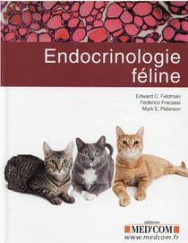 Endocrinologie féline
