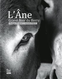 L'Âne Grand Noir du Berry