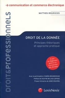 Droit de la donnée - principes théoriques et approche pratique