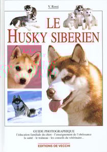 Husky siberien guide photo