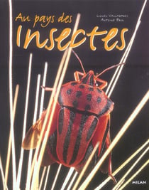 Au pays des insectes