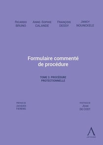 Formulaire commenté de procédure Tome 3 : la procédure protectionnelle