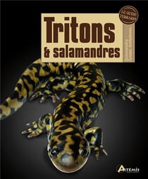 Tritons et salamandres