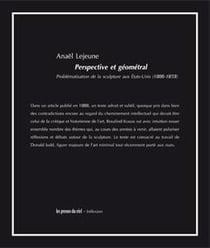 Perspective et géométral - problématisation de la sculpture aux Etats-Unis (1966-1973)