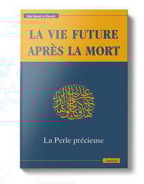 La vie future après la mort, la perle précieuse