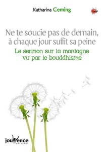 Ne te soucie pas de demain, à chaque jour suffit sa peine - le sermon de la montagne vu par le bouddhisme