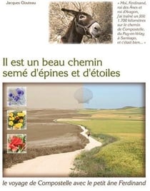 Il est un beau chemin semé d'épines et d'étoiles