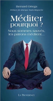 Méditer pourquoi ? nous sommes sauvés, les patrons méditent...
