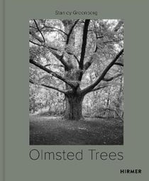 Stanley Greenberg : olmsted trees