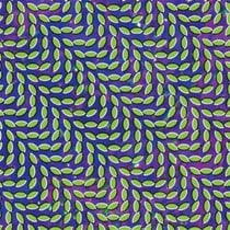 Merriweather post pavillon