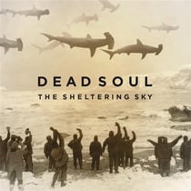 The sheltering sky