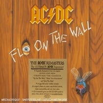 Fly On The Wall