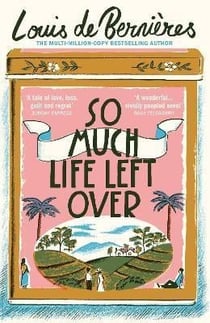 SO MUCH LIFE LEFT OVER