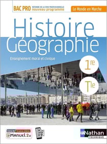 Histoire-géographie-enseignement moral et civique : 1re/terminale bac pro : livre + licence élève (édition 2020)