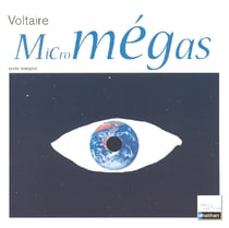Micromégas