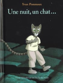 Une nuit, un chat...