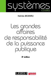 Les grandes affaires de responsabilité de la puissance publique (2e édition)