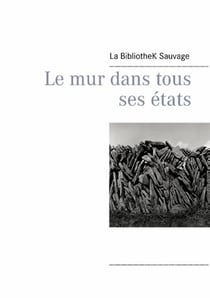 Le mur dans tous ses états