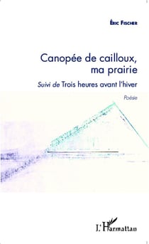Canopée de cailloux, ma prairie - trois heures avant l'hiver